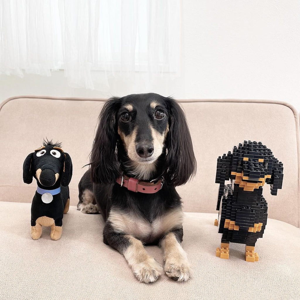 does anyone have the instructions guide for the dachshund set? : r/lego