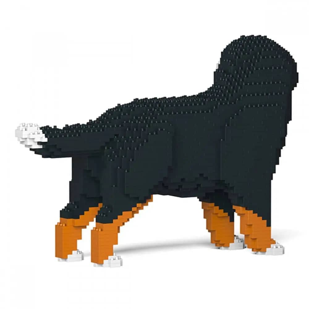 Bernese Mountain Dog Building Kit sale Pet Building Kit